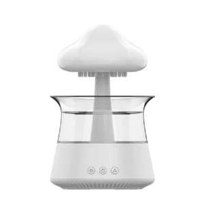 Rain Cloud Air Humidifier