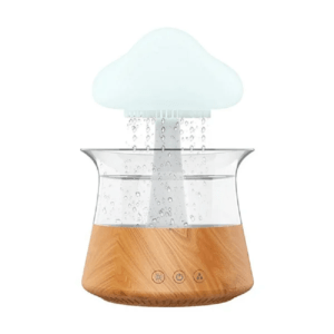 Rain Cloud Air Humidifier